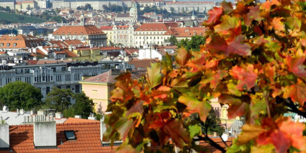 Přijde ochlazení: jaké počasí bude v Česku v příštích dnech