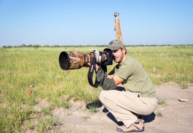 Surikaty. Foto: snímek obrazovky udivitelno.com