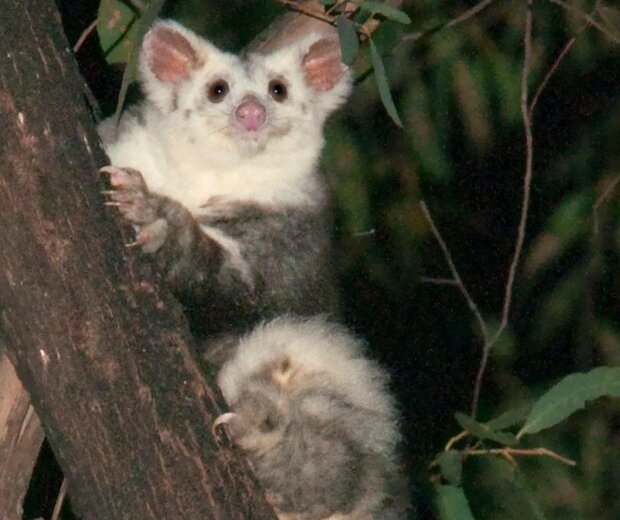 Fotografie: laykni.com