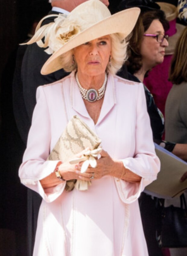 Camilla. Foto: snímek obrazovky marieclaire