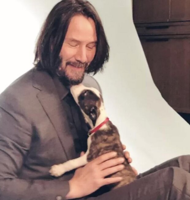 Keanu Reeves. Foto: snímek obrazovky bigpicture.ru