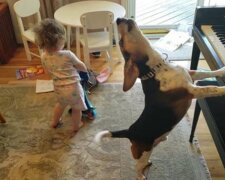 Fotografie: 4tololo.ru