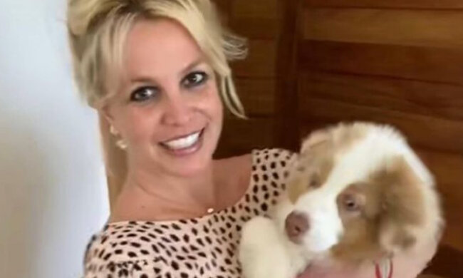 "Pokud bude dcera, bude to nejvíce rozmazlená princezna na světě": Proč Britney Spears a její partner nechtějí znát pohlaví svého dítěte
