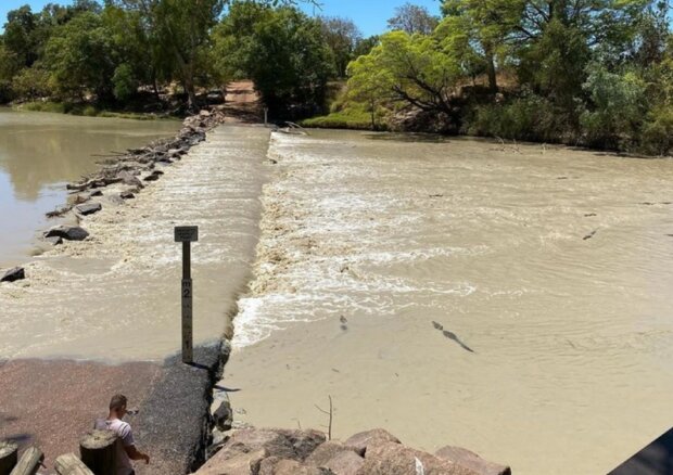 Krokodýl. Foto: snímek obrazovky ekabu.ru