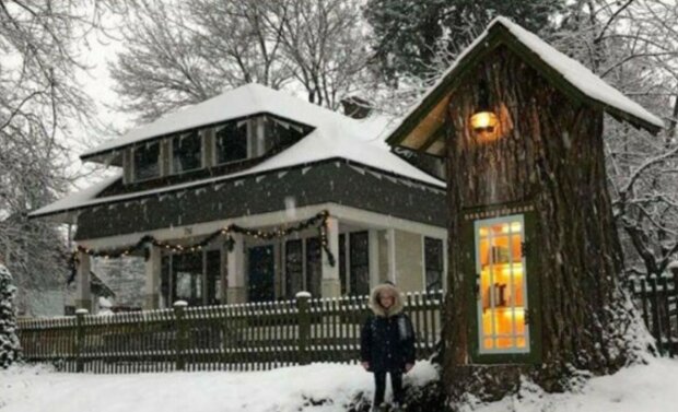 Američanka udělala ze 110 let stařého pařezu útulnou veřejnou knihovnu. Vypadá jako domeček z pohádky, který obývají víly