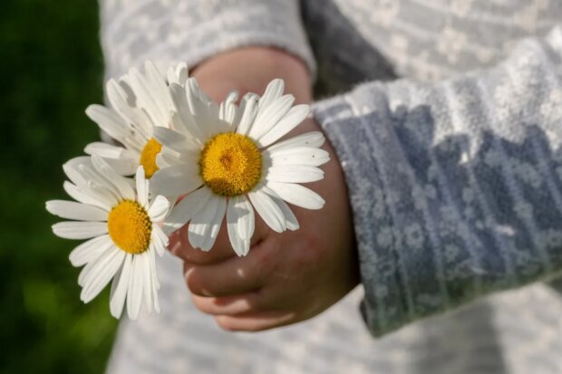 Děti. Foto: snímek obrazovky Pixabay