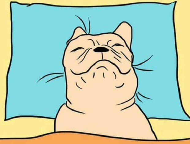 Pes. Foto: snímek obrazovky: superhear.info