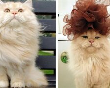 Fotografie: laykni.com