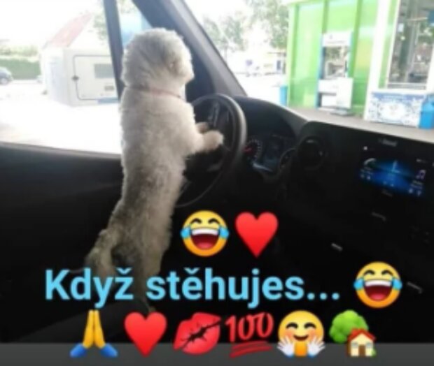 Foto: snímek obrazovky Instagram