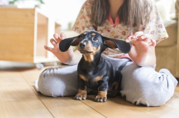 Fotografie: vsevolodvlasenko.com/Moment/Getty Images