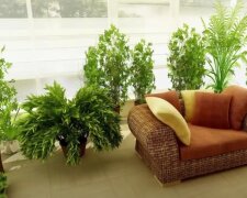 Květináče . Foto: snímek obrazovky YouTube