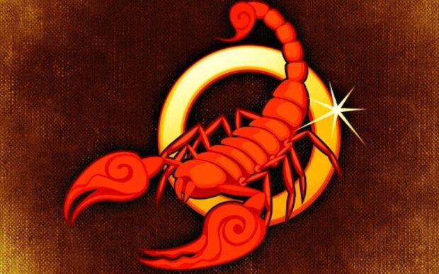 Štír. Foto: snímek obrazovky electropiknik.cz