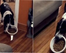 Fotografie: 4tololo.ru