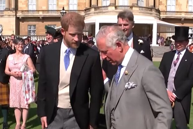 Král Karel III. a Harry Foto: snímek obrazovky YouTube