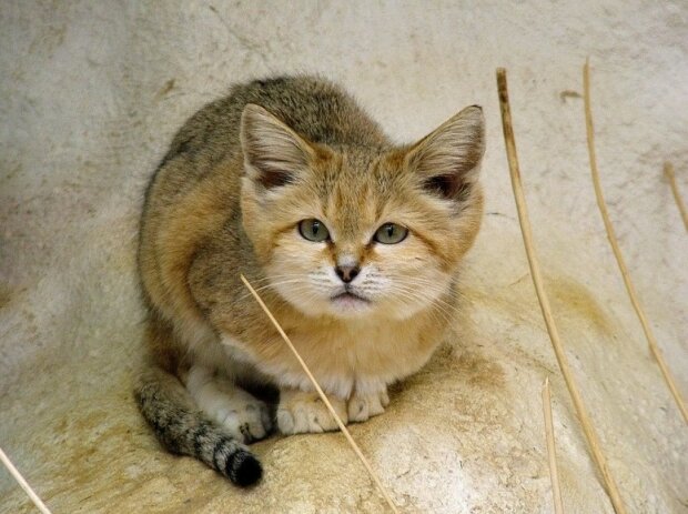 Fotografie: publy.ru