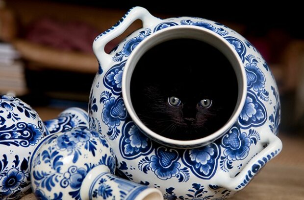 Fotografie: Getty Images