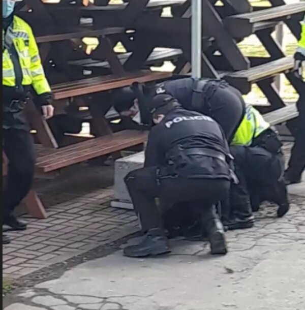 Policie zadržela otce. Foto: snímek obrazovky blesk.cz