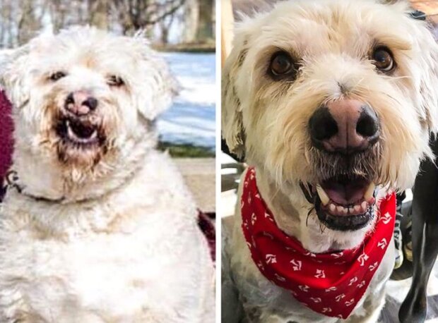 Fotografie: duck.show