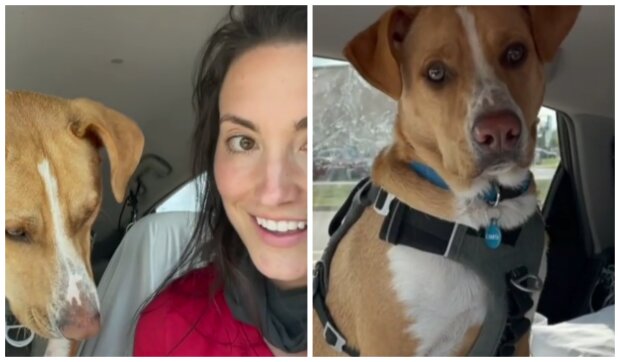 Holka a pes. Foto: snímek obrazovky Instagram
