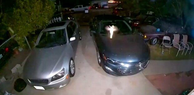 Zdroj fotografie: medialeaks.ru