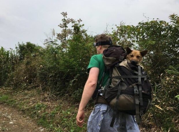 Aby zachránil život zraněného psa, šel muž do neprůchodných hor