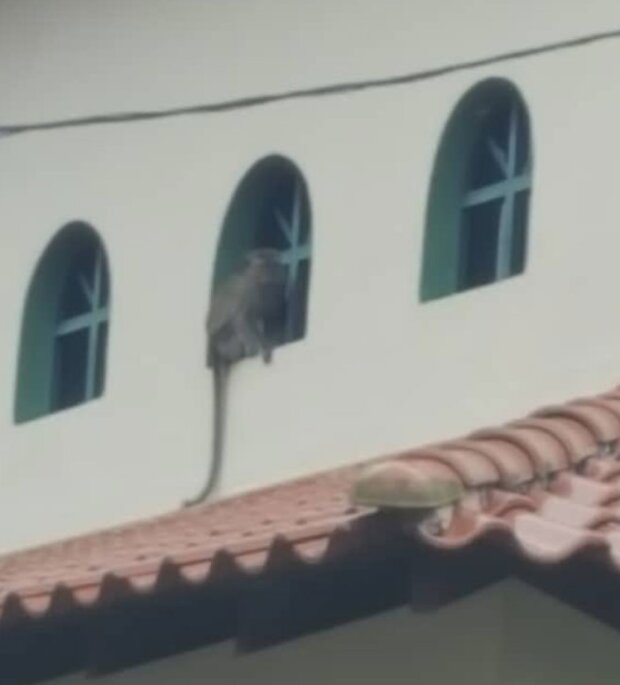 Fotografie: 4tololo.ru