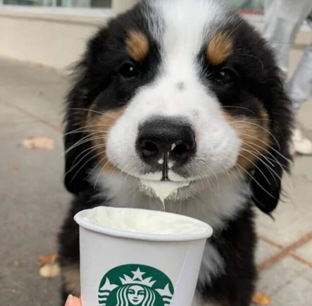 Fotografie: reddit.com