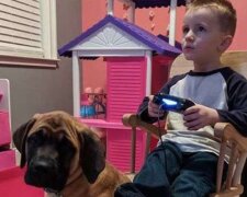 Skutečné přátelství: rodiče chlapce potrestali za žerty, ale věrný pes ho nenechal v tom samotného