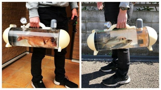 Chtěli byste vzít svou rybku na procházku: Japonská společnost vytvořila přenosné akvárium