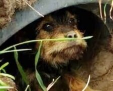 Zdroj fotografie: mur.tv