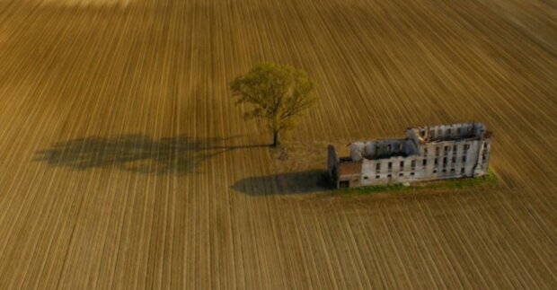 Krokodýl. Foto: snímek obrazovky ekabu.ru