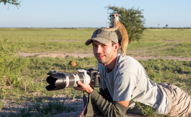 Surikaty. Foto: snímek obrazovky udivitelno.com