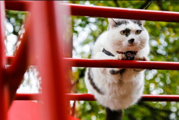 Fotografie:laykni.com