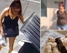 Vítězství spravedlnosti: žena byla potrestána za špatné zacházení se zvířaty