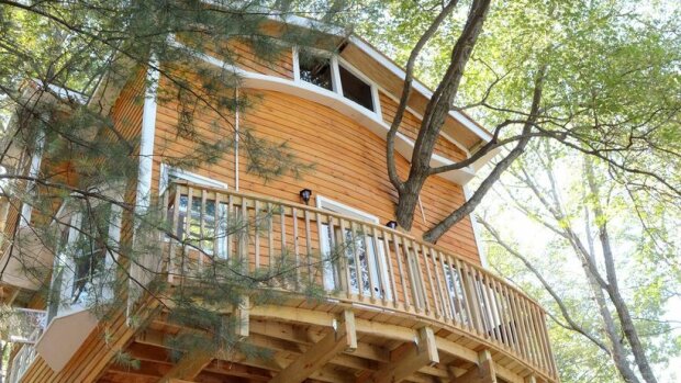 Dědeček pro vnoučata se rozhodl postavit dům na stromě, a byl fascinován