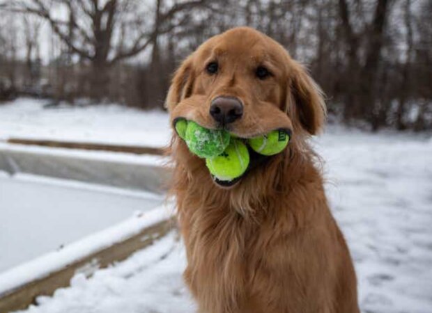 Fotografie: joinfo.com