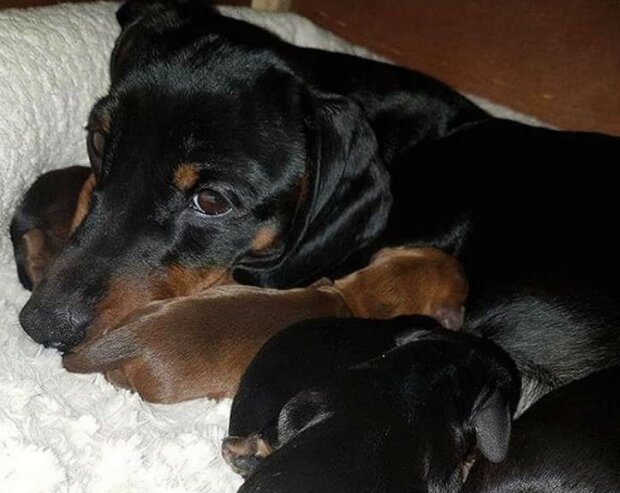 Fotografie: leprechaun.land