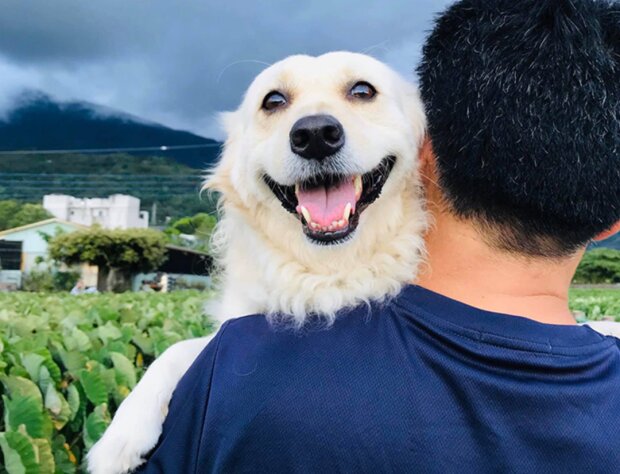 Fotografie: 4tololo.ru