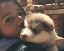 Dívka si vzala malé štěně, pes vyrostl a stal se větší než majitelka