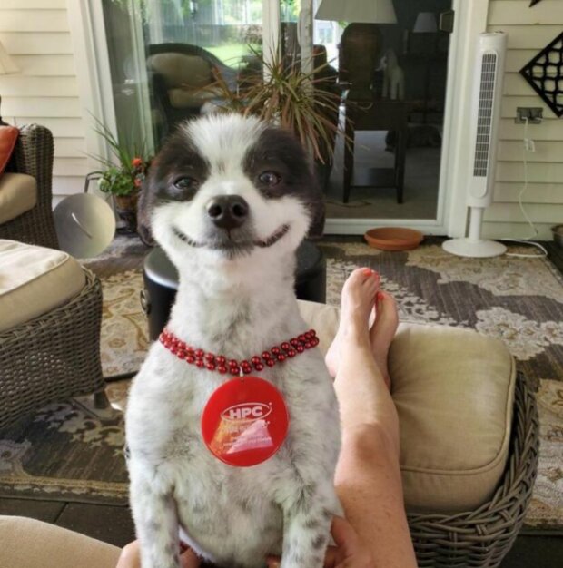 Shavi. Foto: snímek obrazovky chevysmiles