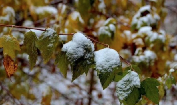 “V Česku už by mělo sněžit i ve vyšších polohách”: Meteorologové řekli, kdy se dočkáme prvního sněhu
