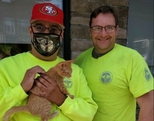 Tiše plakal, když seděl v tašce: Pracovníci zachránili kotě, které bylo ponecháno v zapečetěné tašce a vyhozeno