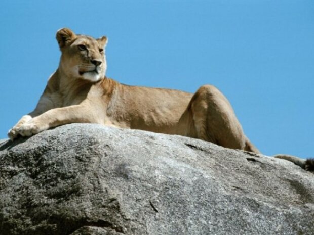 Fotografie: publy.ru