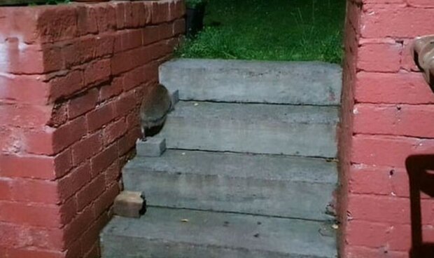 Fotografie: youtube.com