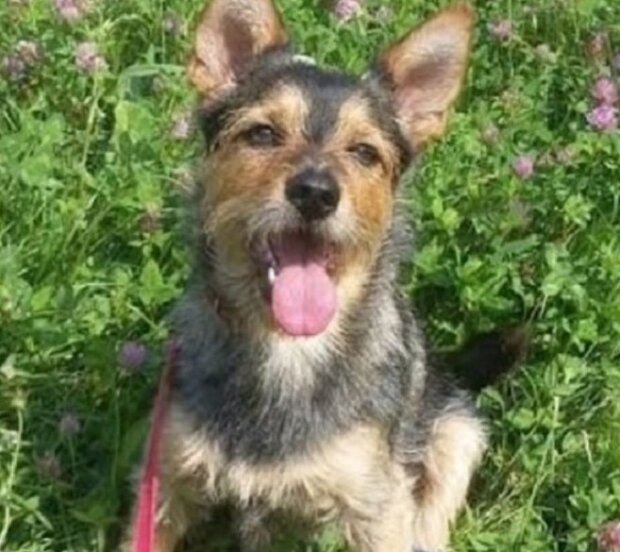 Zdroj fotografie: mur.tv