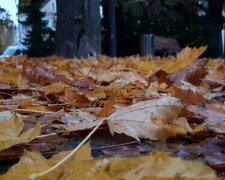 Meteorologové udělali předpověď počasí:Jaké bude počasí příští týden