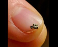 Lidé netušili, co našli, ale uživatelé internetu to rychle zjistili