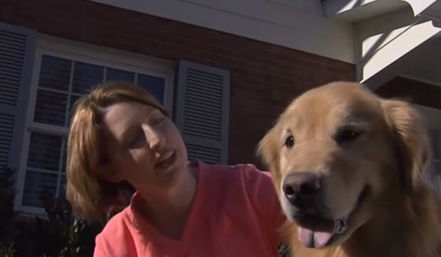 Pes, který zachránil rodinu před tornádem, zmizel a vrátil se po 54 dnech