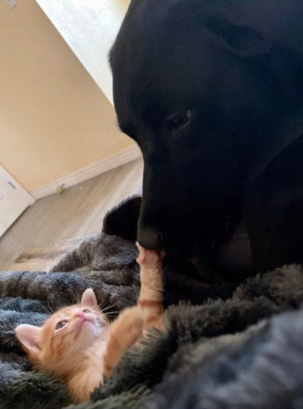 Fotodrafie: laykni.com