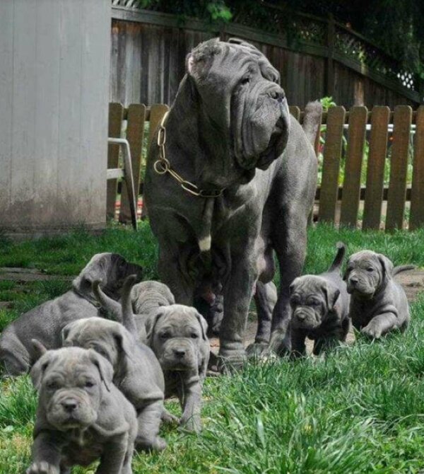 Fotografie: duck.show